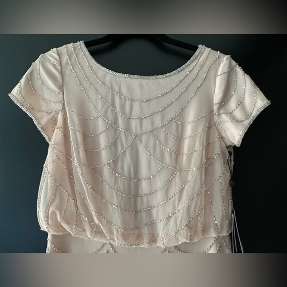 NWT Adrianna Papell evening gown, blush with silver beads, size 0 - Picture 8 of 9